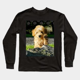 Toy Poodle Puppy Long Sleeve T-Shirt